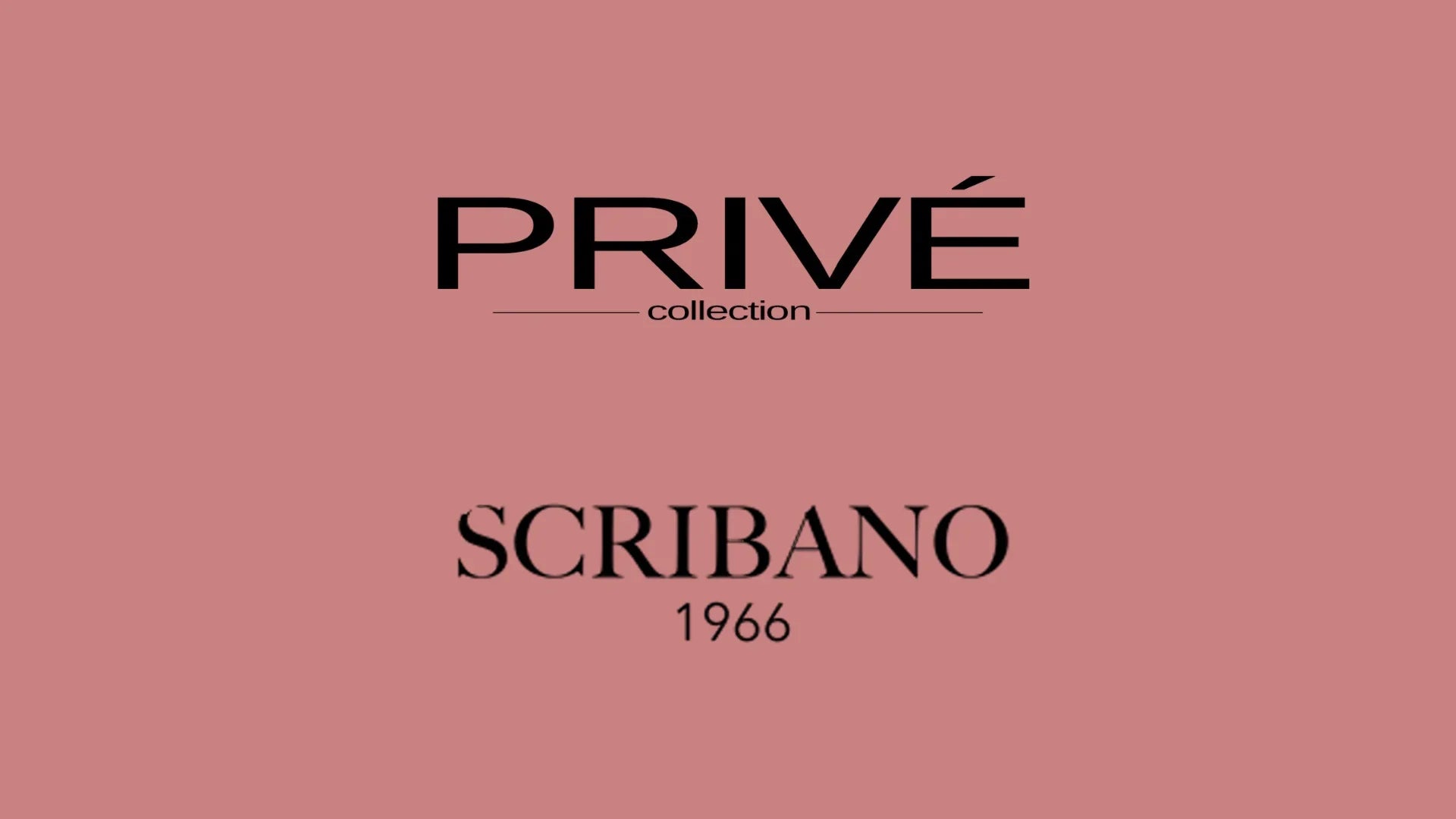 Logo Privé collection e Scrivano 1966 su sfondo rosa, moda abbigliamento elegante