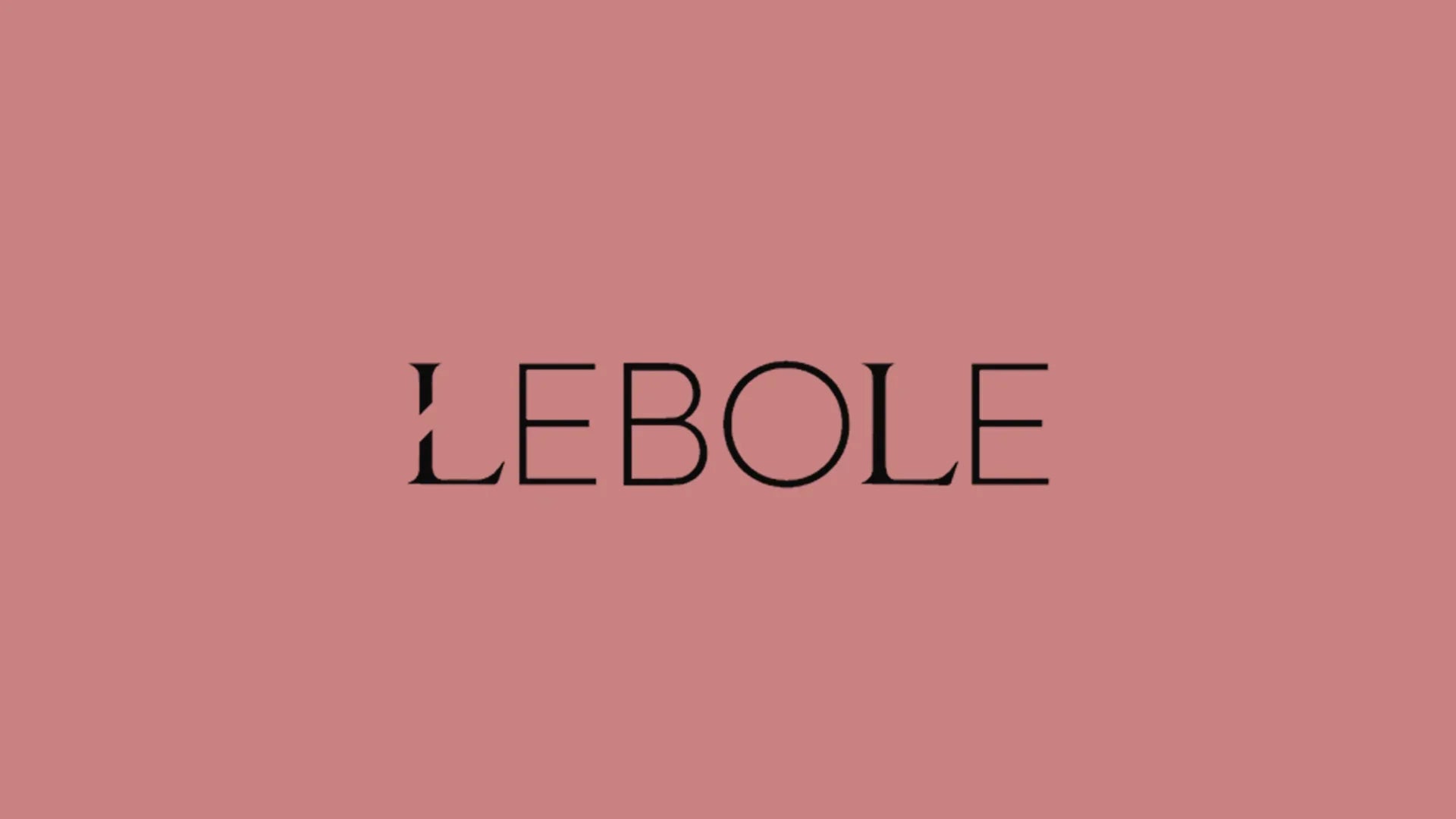 Logo Lebole su sfondo rosa, moda abbigliamento uomo donna elegante