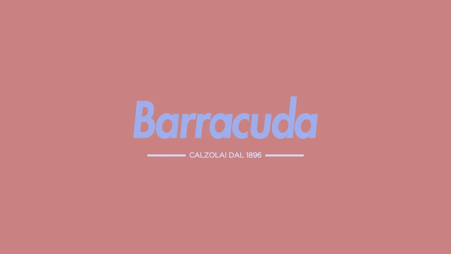 Logo Barracuda calzolai dal 1896 su sfondo rosa, marchio calzature artigianali uomo donna