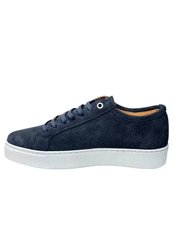 EXTON 565 BLUE SNEAKER Sneaker Suede Forato by EXTON