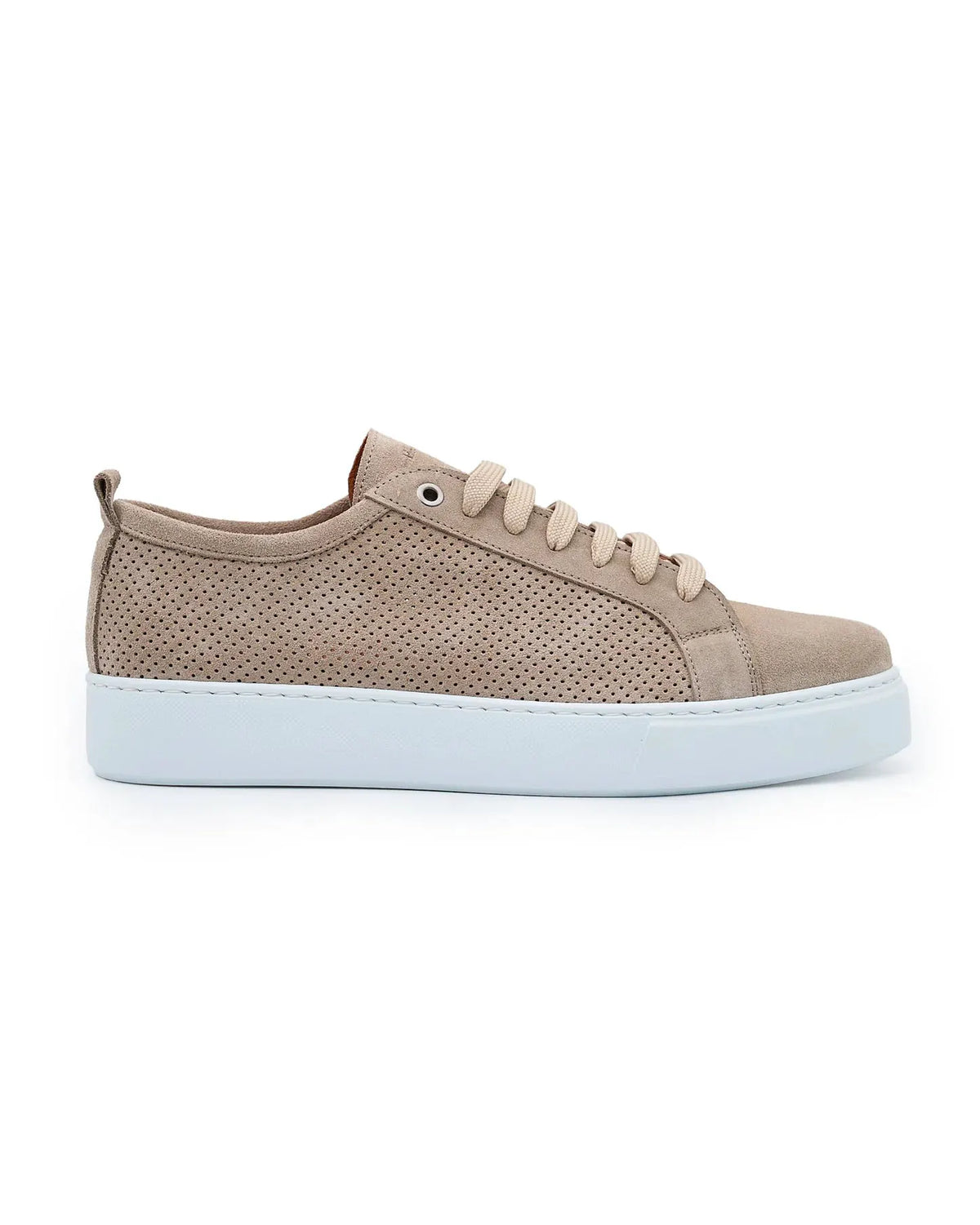 EXTON 565 PALLIDO SNEAKER Sneaker Suede Forato by EXTON