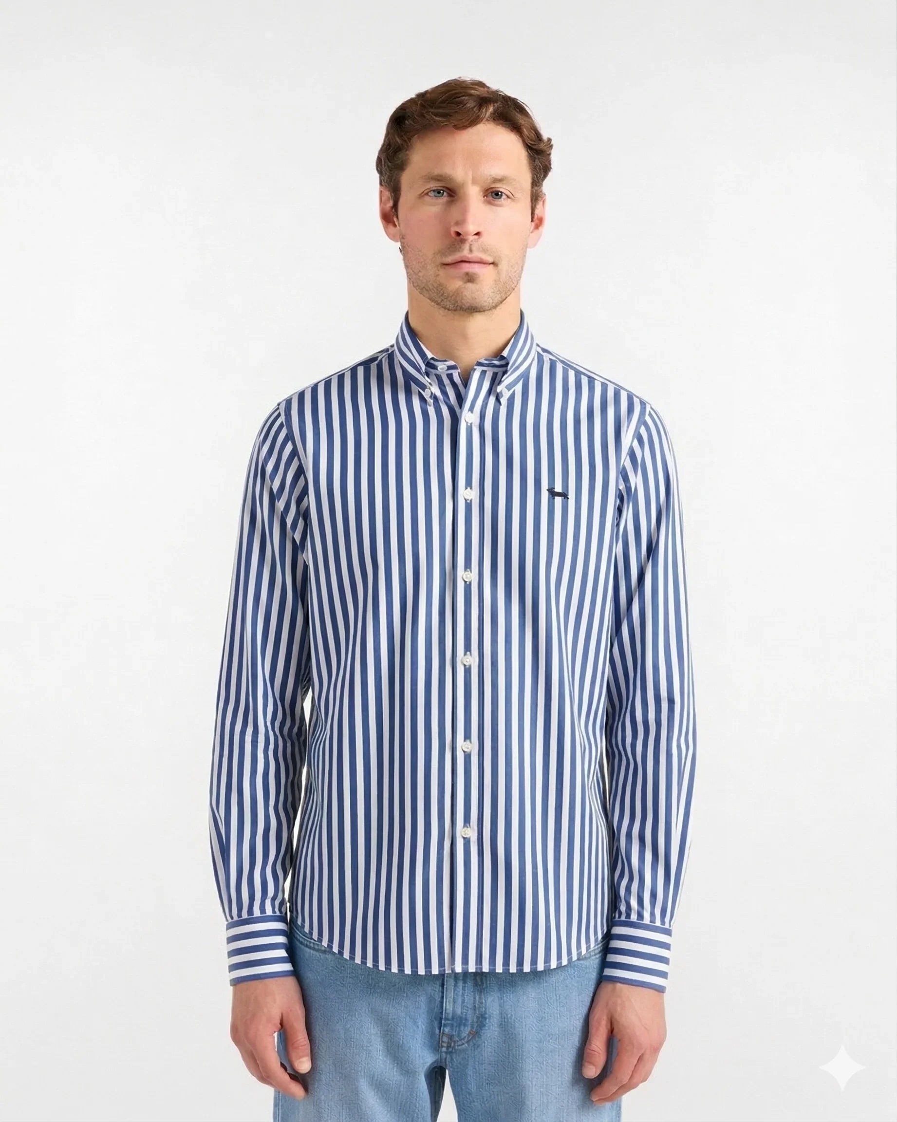 Camicia uomo a righe blu e bianche, maniche lunghe, abbigliamento elegante casual.
