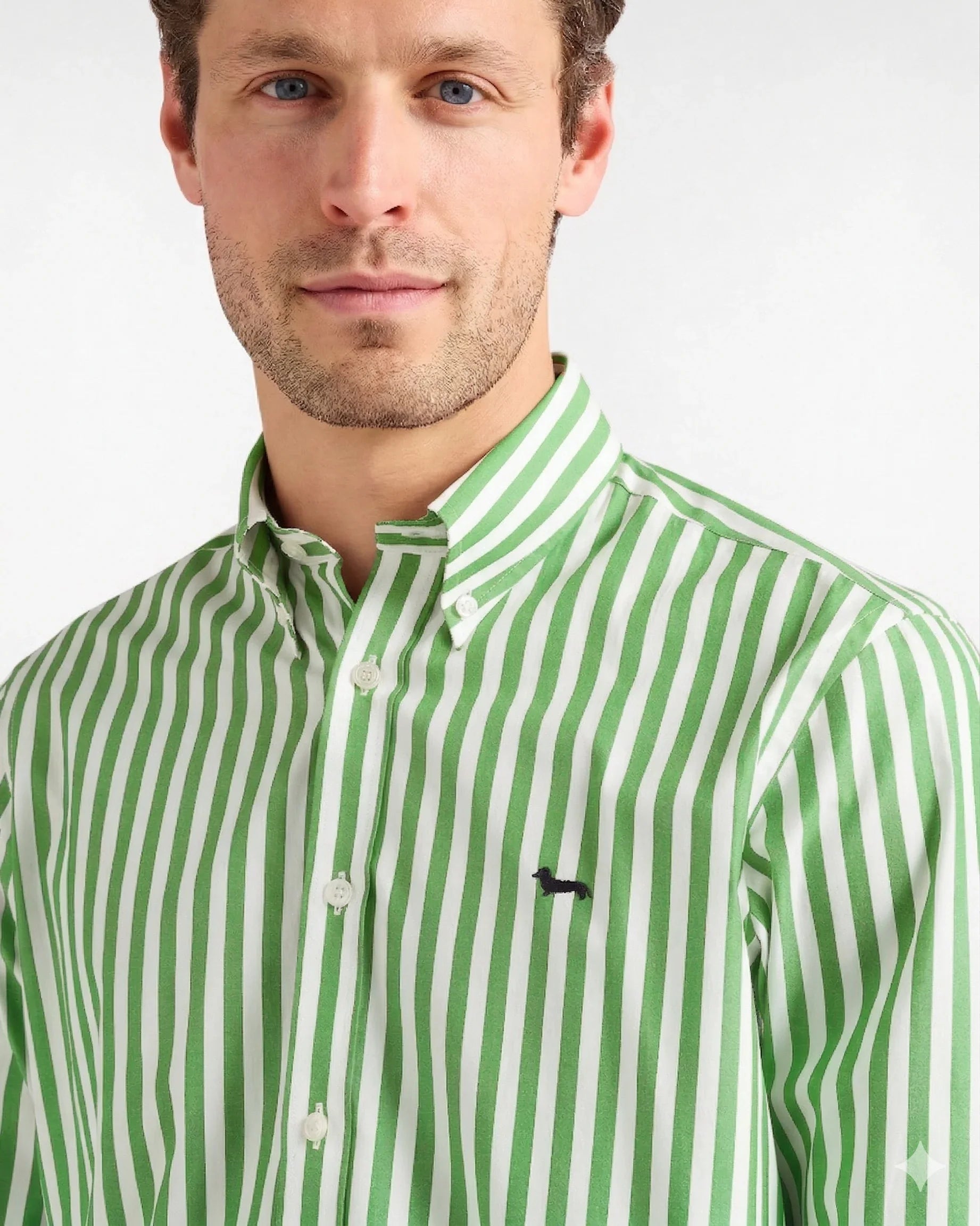 Camicia uomo a righe verdi e bianche, colletto button-down, logo ricamato sul petto.