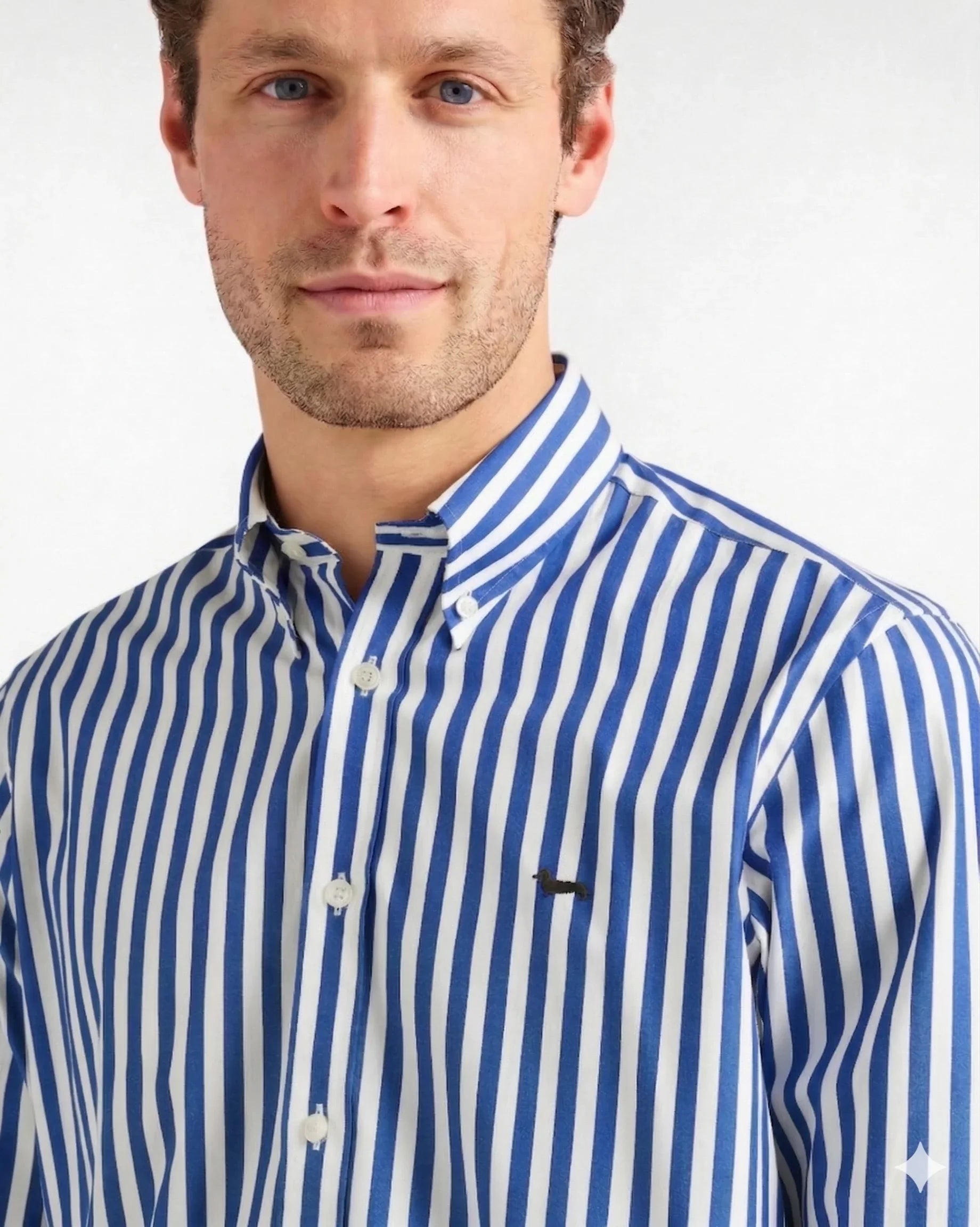 Camicia uomo a righe verticali blu e bianche con colletto button-down, moda elegante maschile.