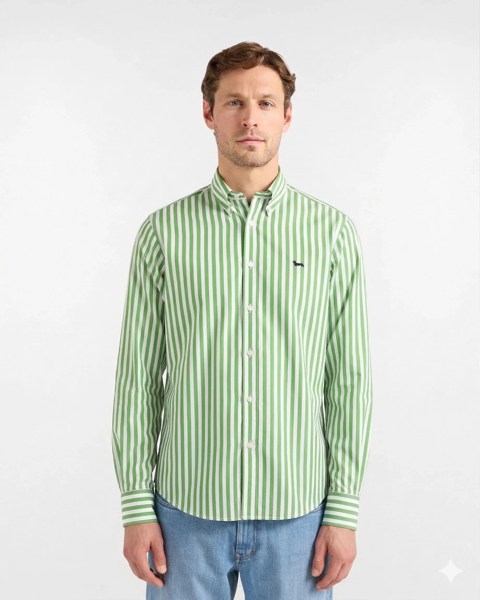 Camicia uomo a righe verdi e bianche, maniche lunghe, stile casual, abbigliamento moda uomo
