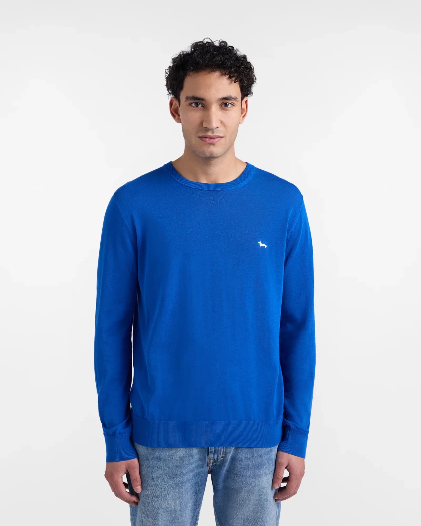 Maglione uomo blu a girocollo, cotone leggero, logo piccolo, stile casual, moda primavera