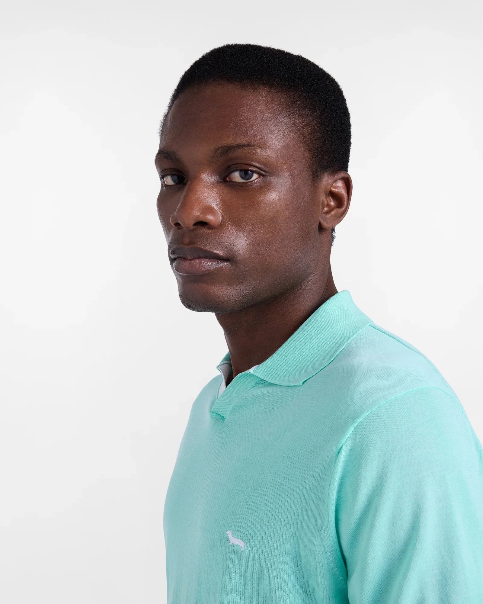 Uomo indossa polo verde acqua in cotone con logo ricamato, stile casual elegante