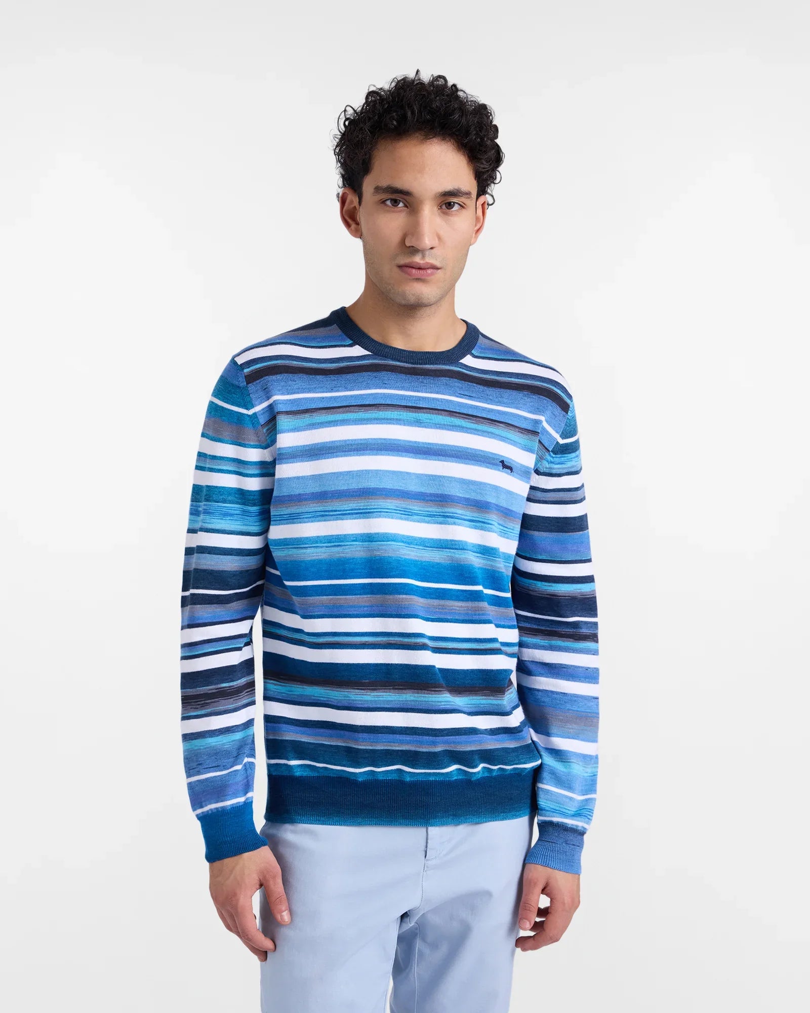 Maglione uomo a righe blu e azzurre, girocollo, indossato da modello su fondo bianco