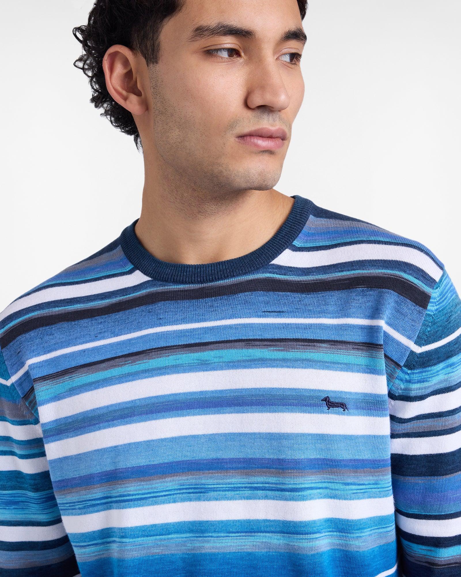 Maglione uomo a righe blu e bianche, logo cane, moda casual maschile.