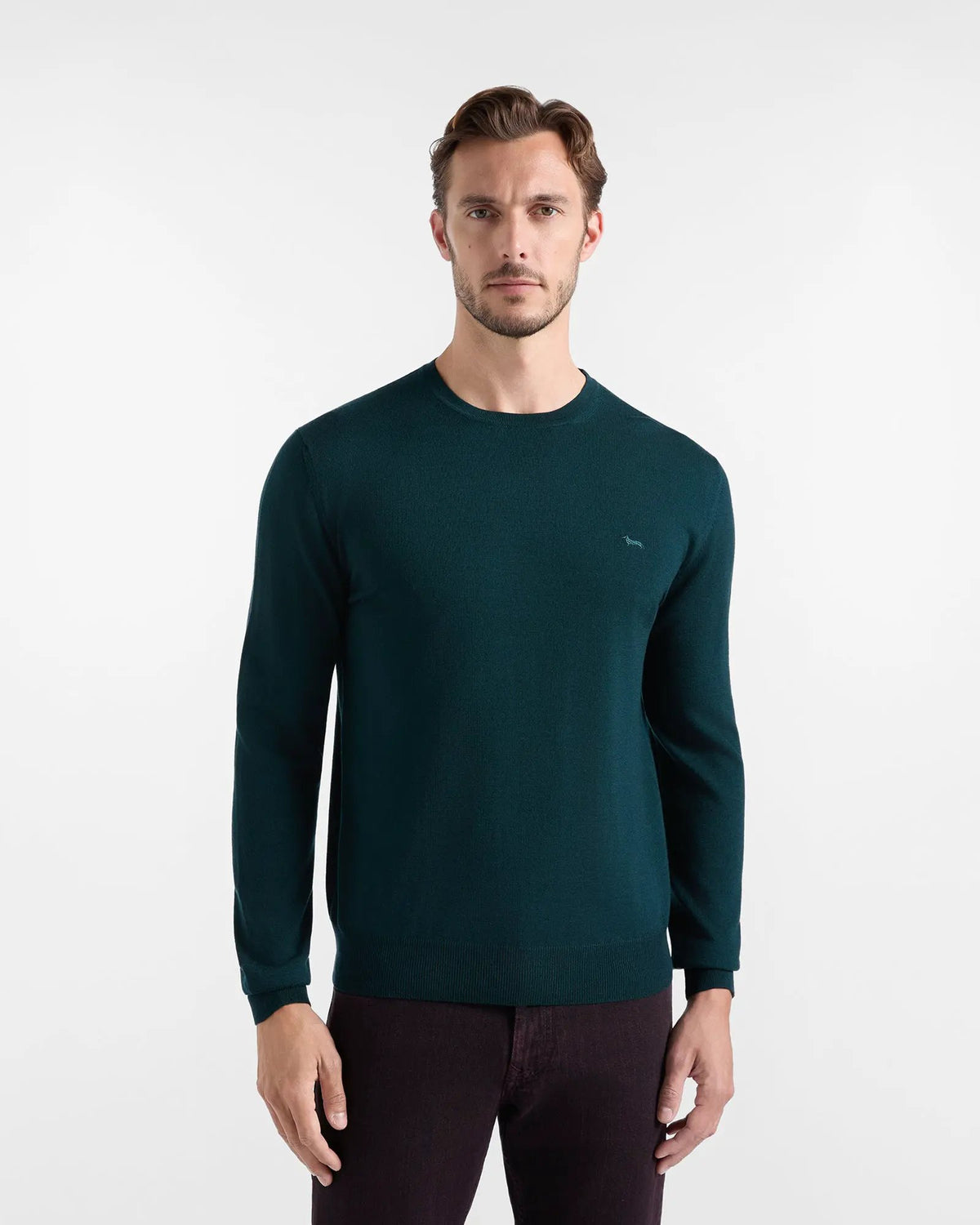 Harmont & Blaine - Maglione uomo HRR001030478 colore 673 Garda (verde scuro) - vista frontale.