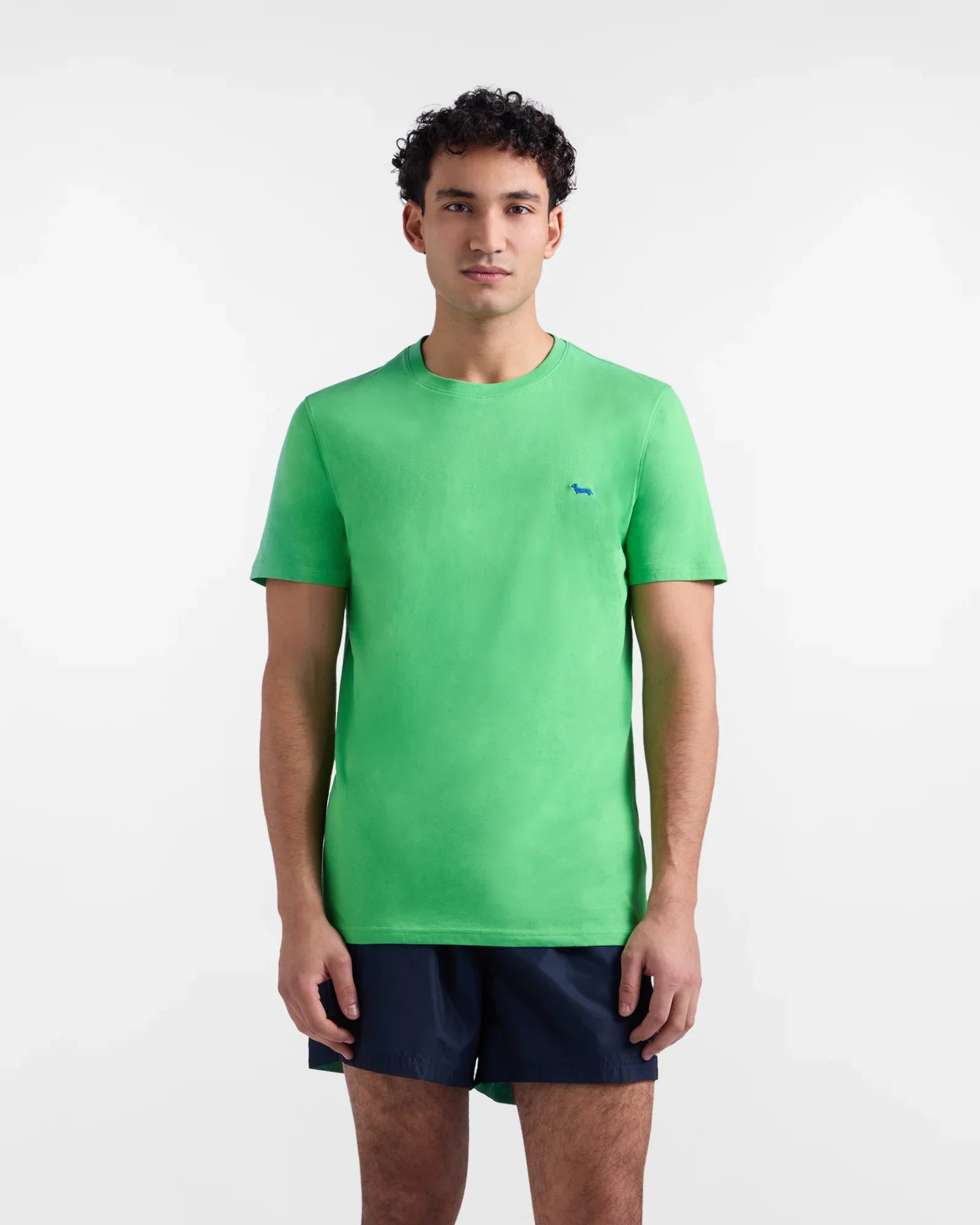 Maglietta verde uomo a maniche corte, logo ricamato, abbigliamento casual estivo.