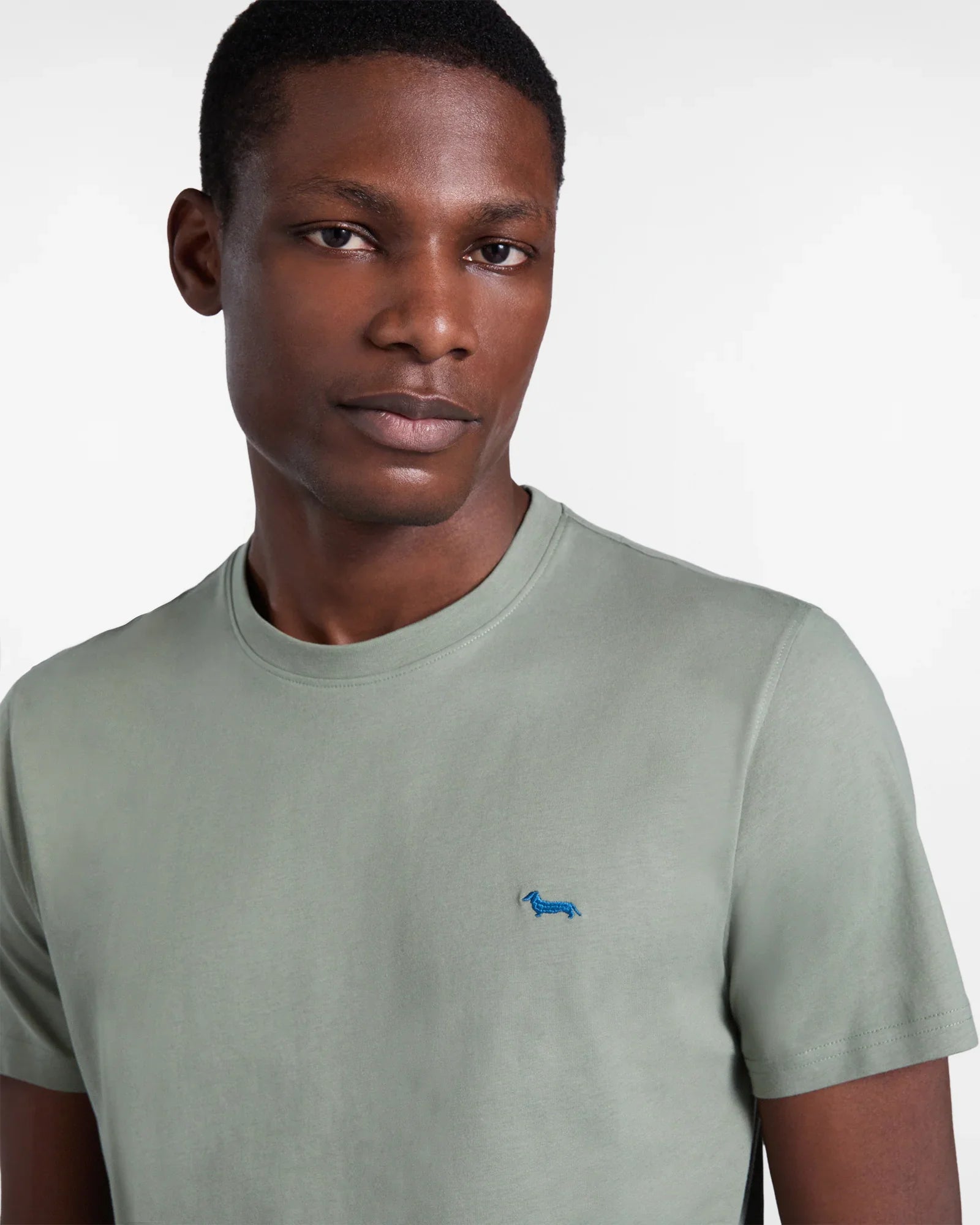 Maglietta uomo verde chiaro con logo cane blu, moda casual, collezione abbigliamento uomo