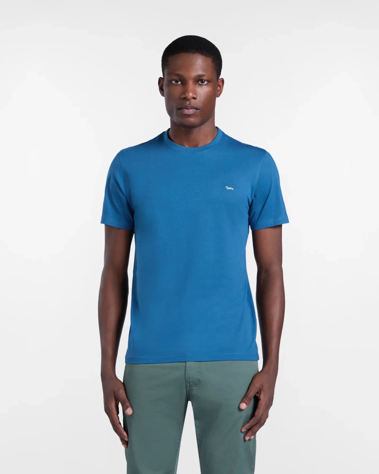 Uomo con t-shirt blu e pantaloni verde oliva, abbigliamento casual moda uomo