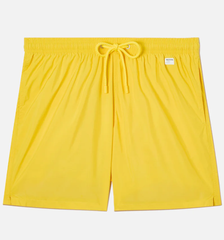 SAINT BARTH LIGHTING PANTONE ULTRALIGHT SWIM SHORT PANTONE