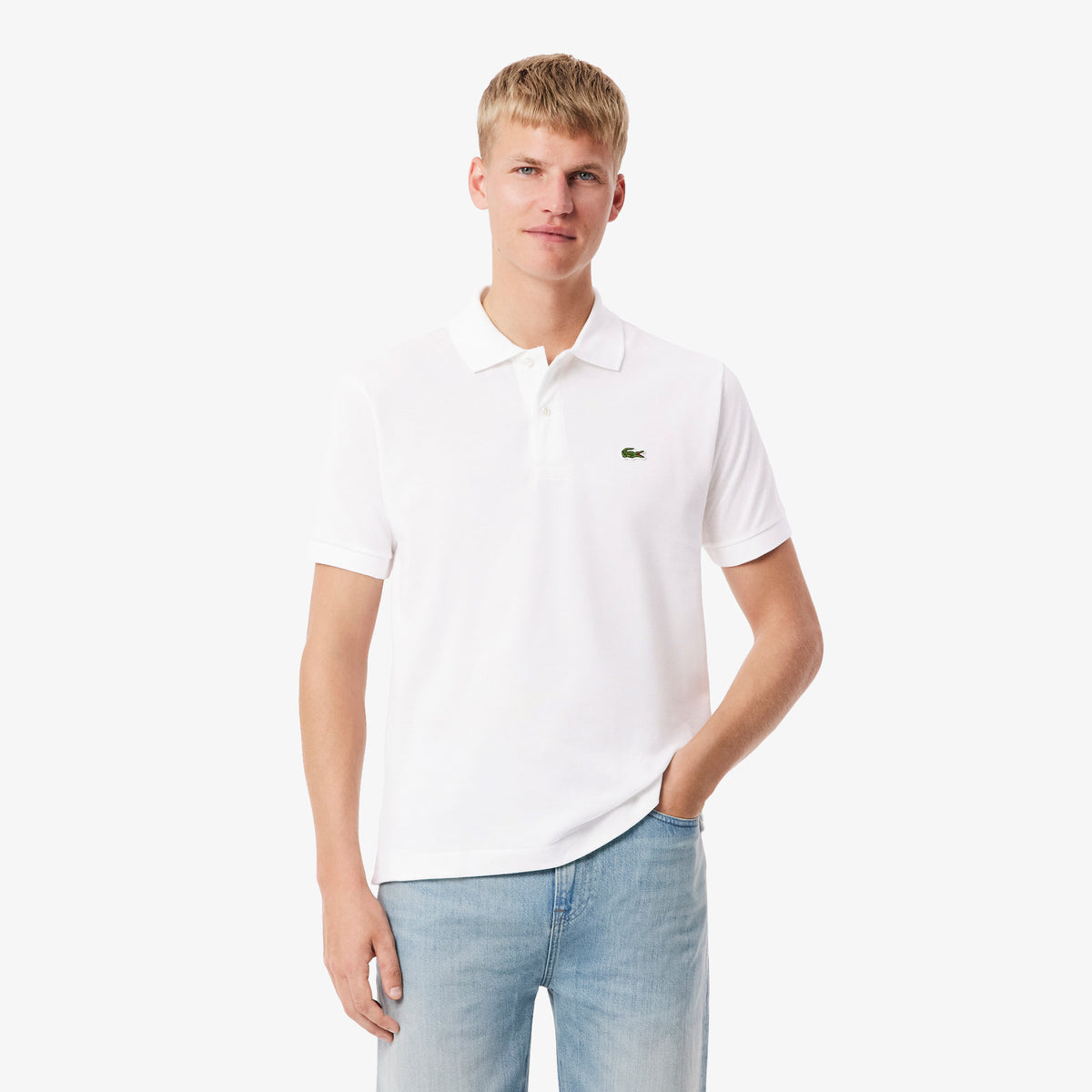 LACOSTE- | Atelier Fratelli Carbè