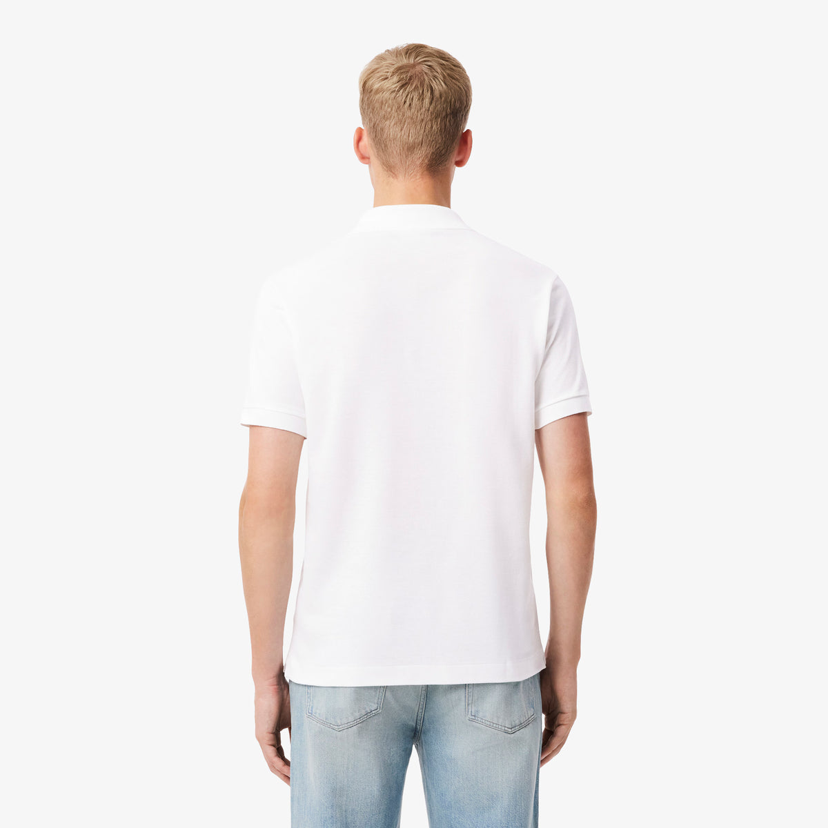 LACOSTE- | Atelier Fratelli Carbè