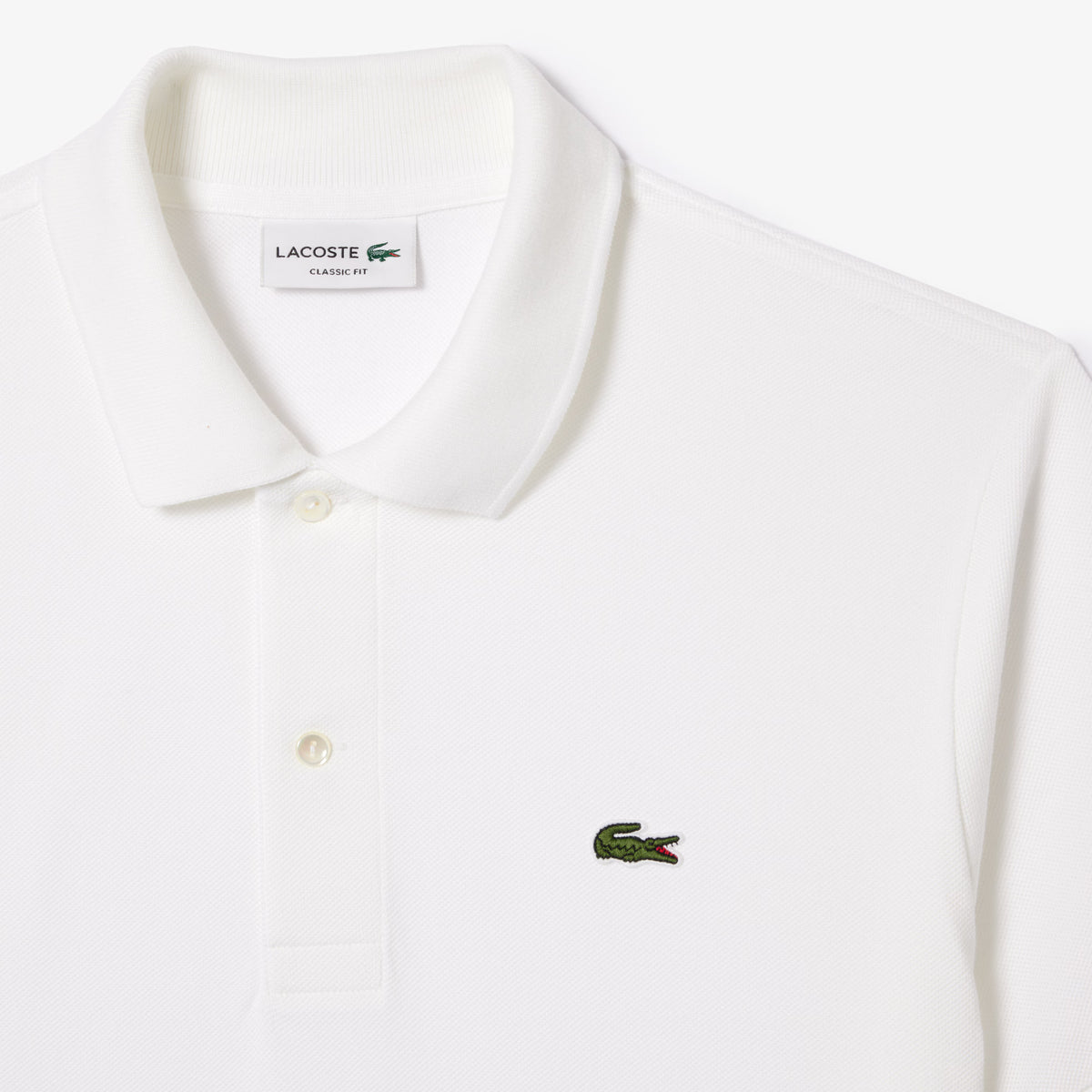 LACOSTE- | Atelier Fratelli Carbè