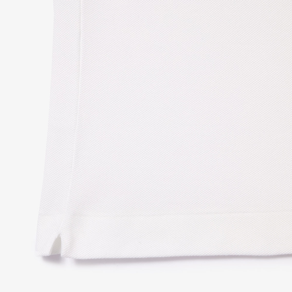 LACOSTE- | Atelier Fratelli Carbè