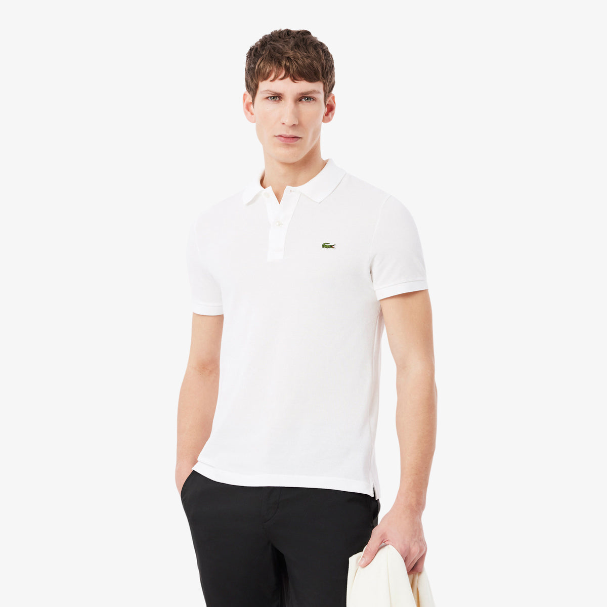 LACOSTE- | Atelier Fratelli Carbè