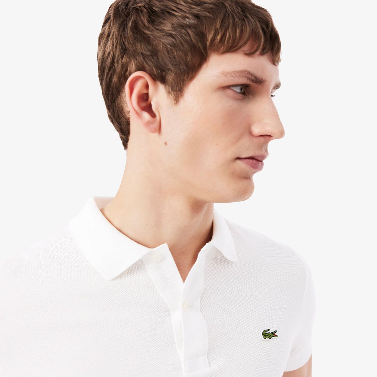 LACOSTE- | Atelier Fratelli Carbè