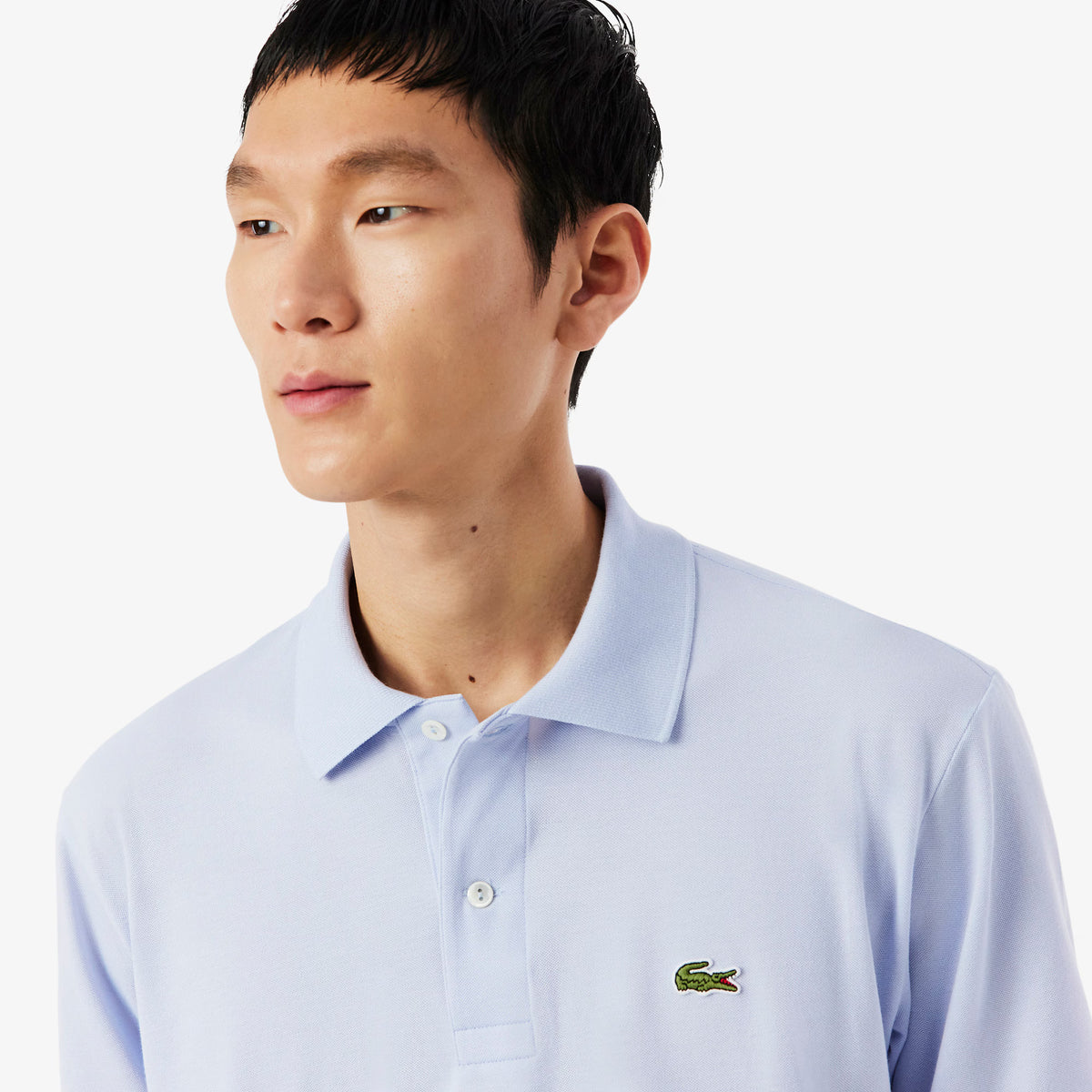 LACOSTE- | Atelier Fratelli Carbè