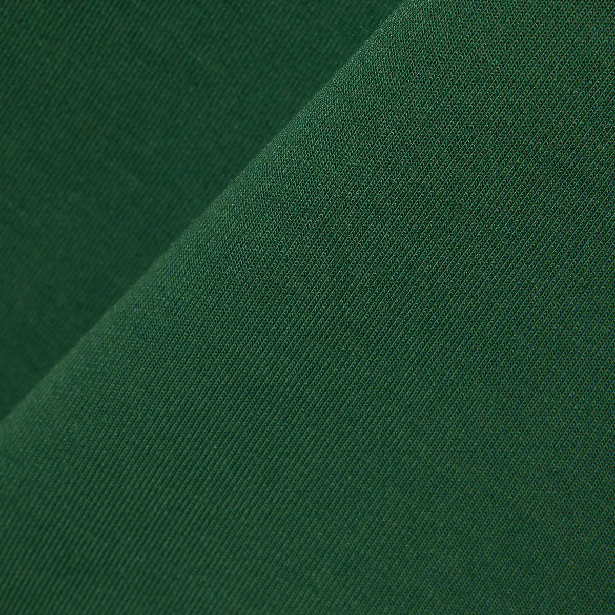 LACOSTE- | Atelier Fratelli Carbè