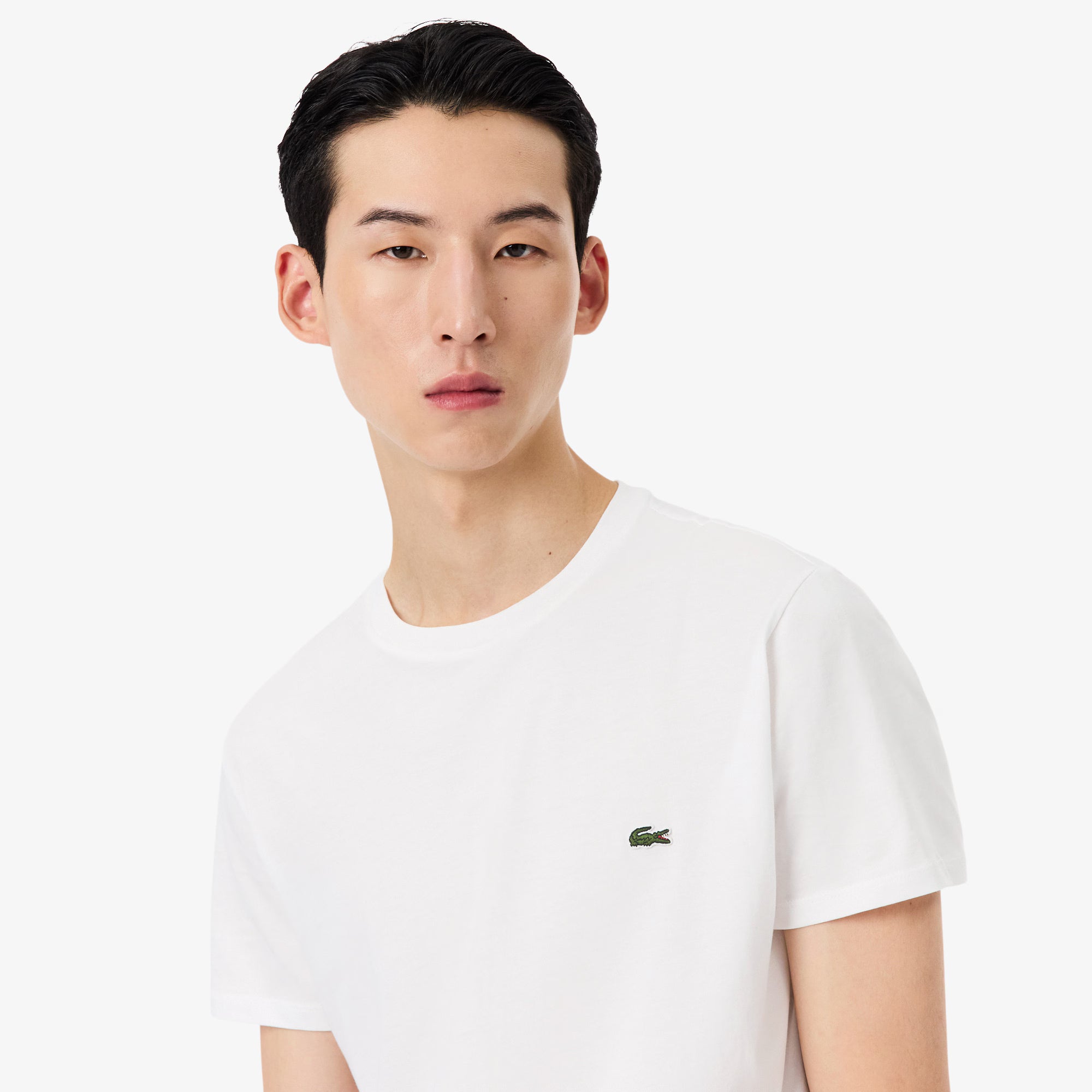 LACOSTE- | Atelier Fratelli Carbè