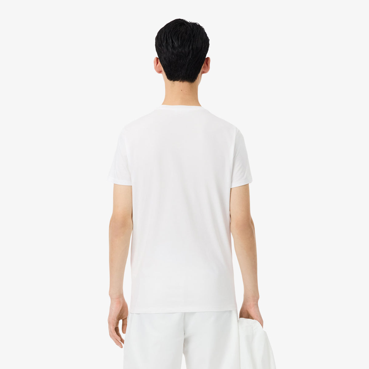 LACOSTE- | Atelier Fratelli Carbè