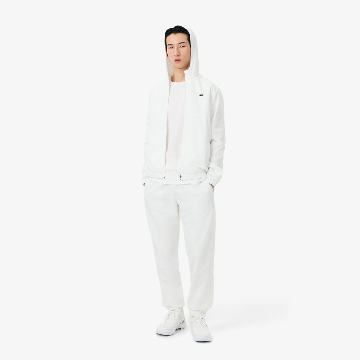 LACOSTE- | Atelier Fratelli Carbè