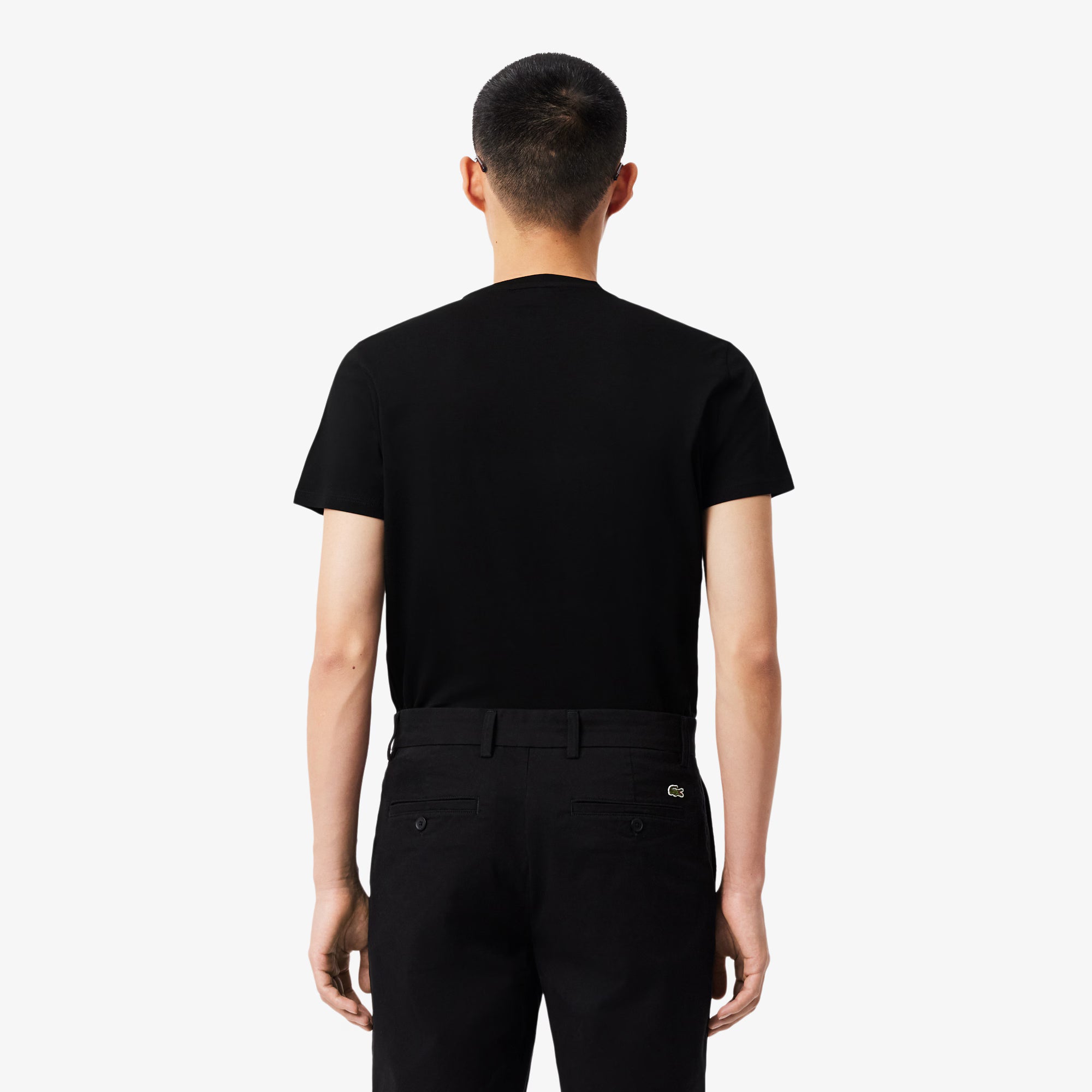 LACOSTE- | Atelier Fratelli Carbè