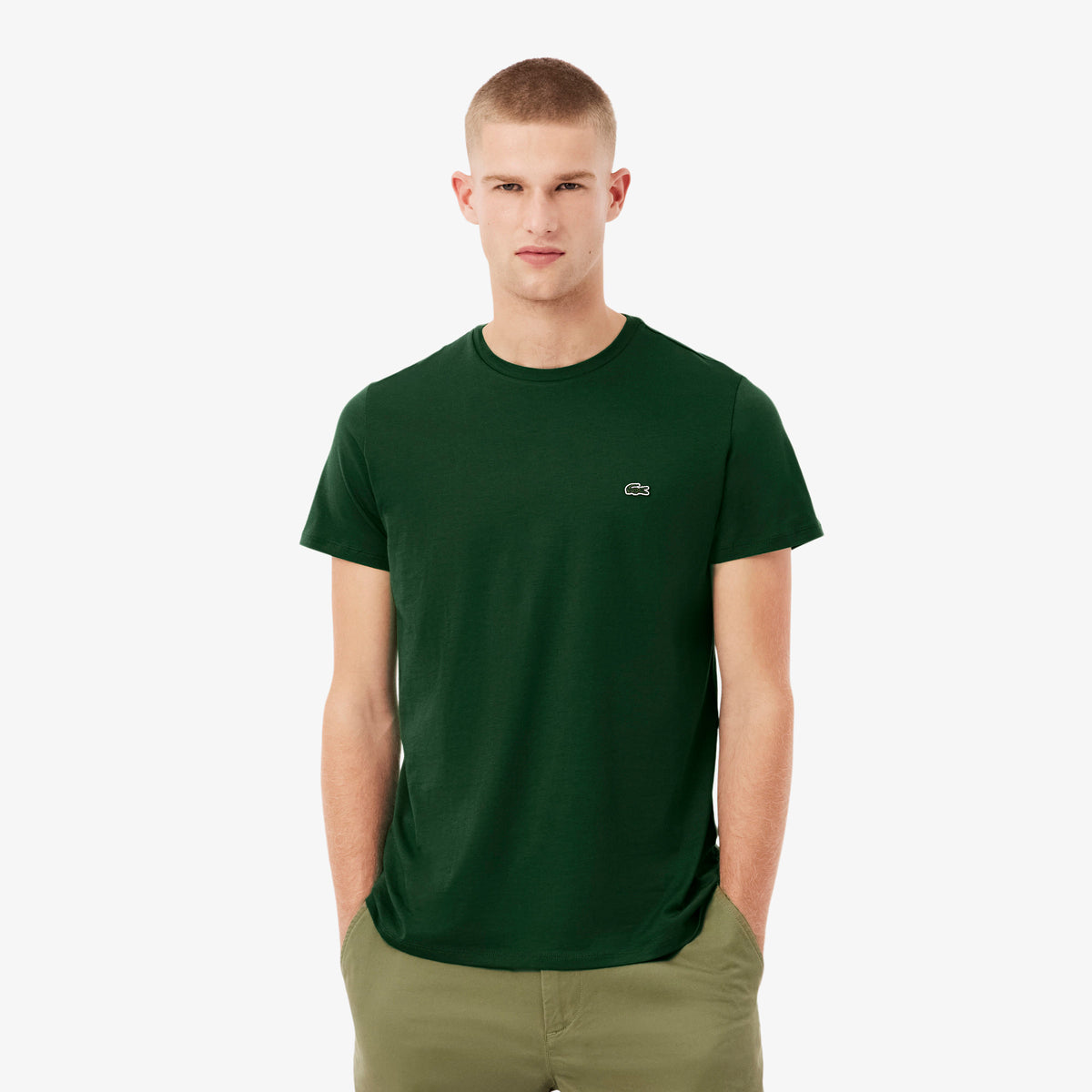 LACOSTE- | Atelier Fratelli Carbè