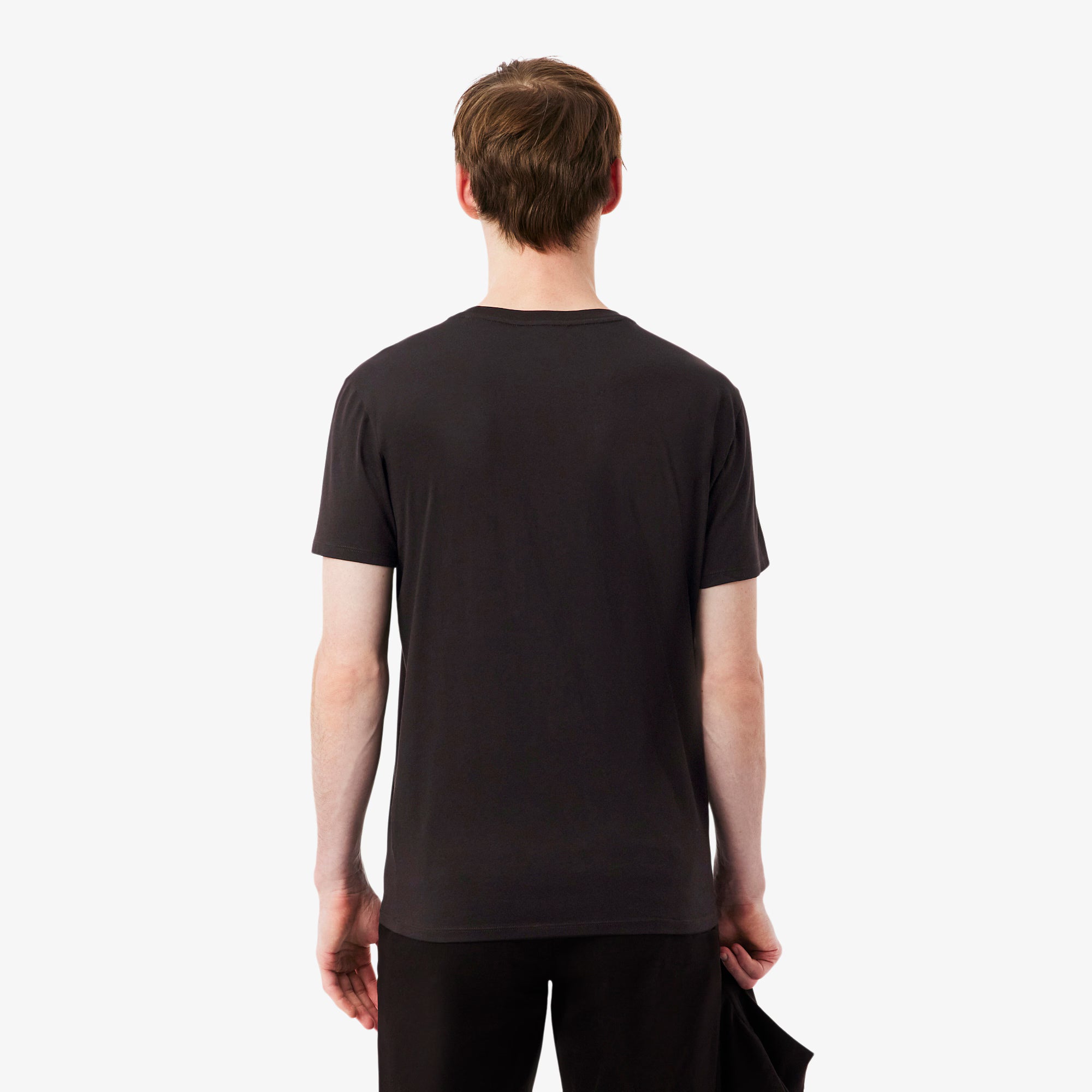 LACOSTE- | Atelier Fratelli Carbè