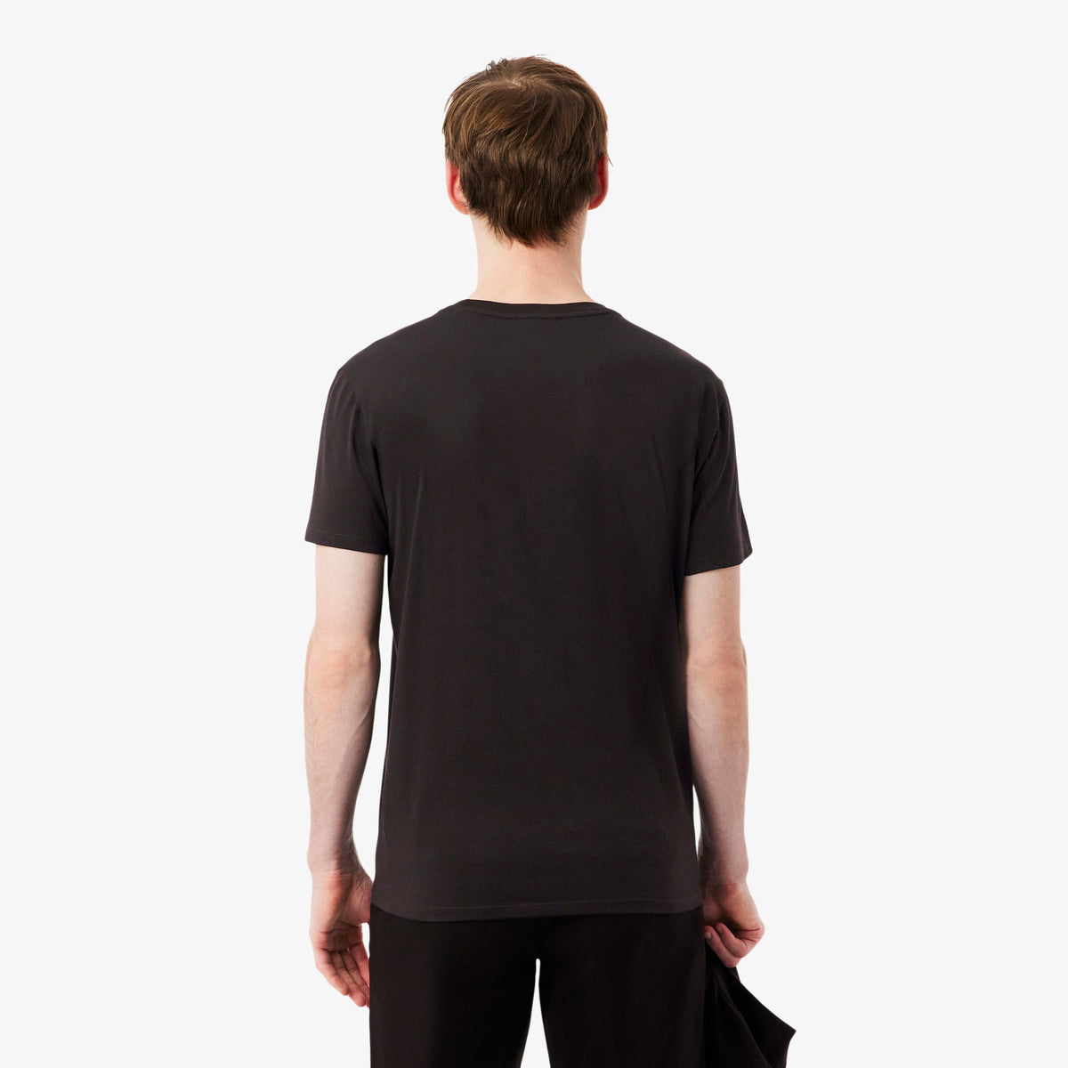 LACOSTE- | Atelier Fratelli Carbè