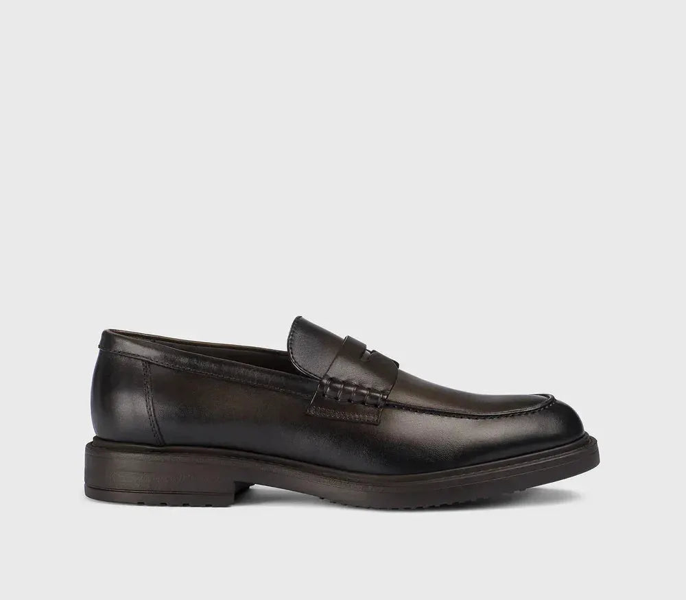 Mocassino uomo in pelle liscia testa di moro, elegante, su sfondo neutro
