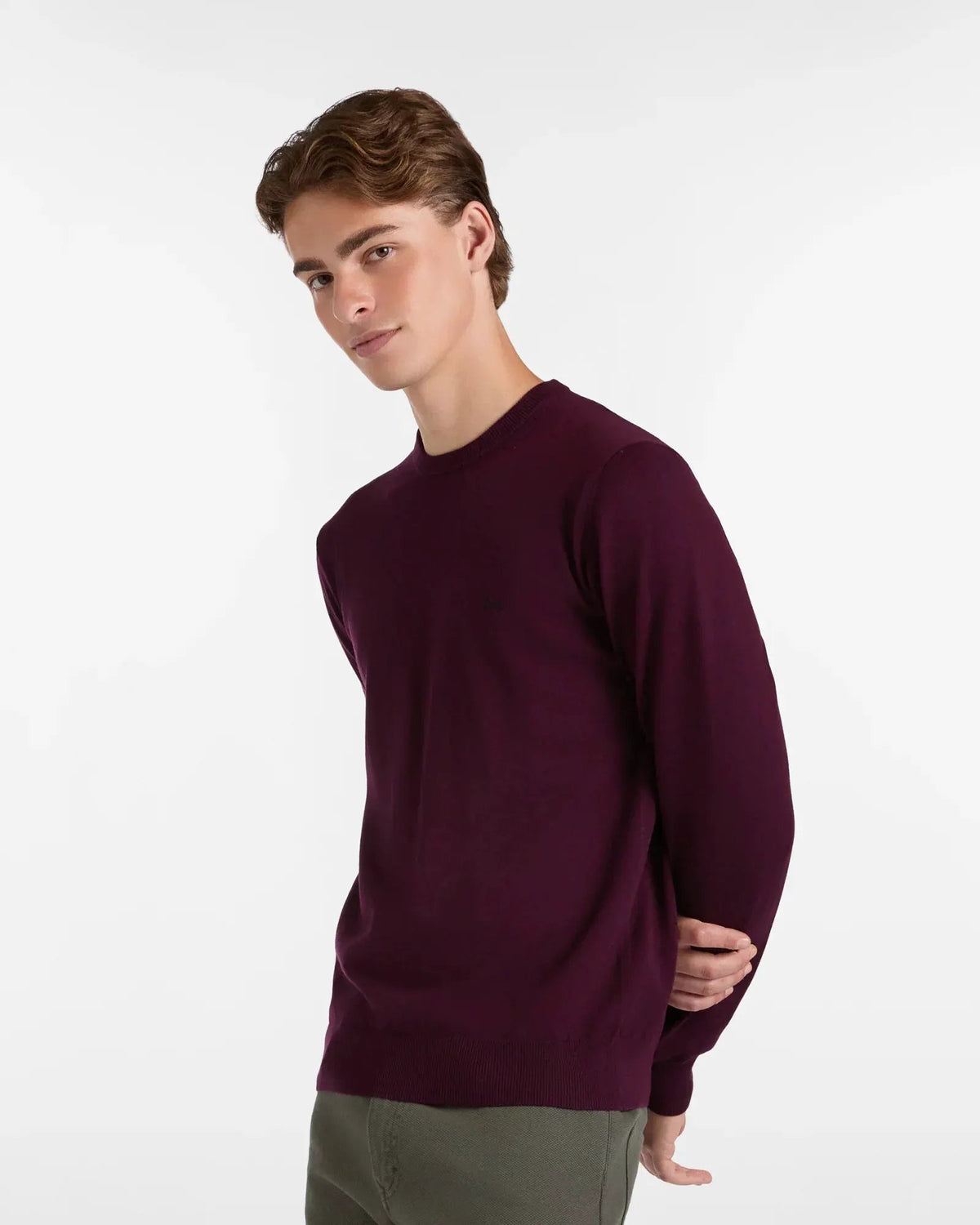 Maglione uomo girocollo vinaccia, vestibilità regular, stile elegante, sfondo bianco