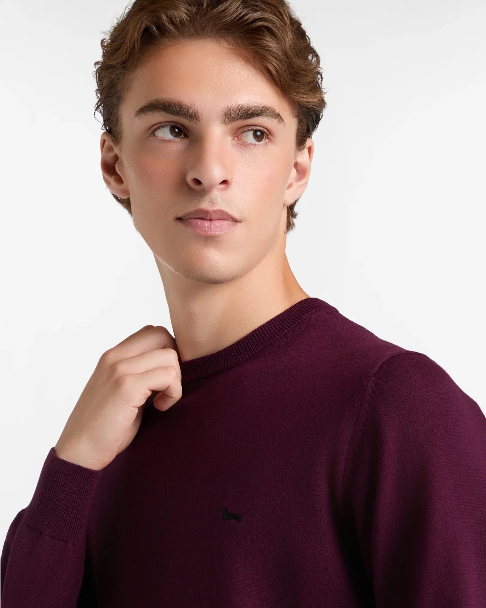 Maglione uomo vinaccia girocollo, dettaglio logo ricamato, stile elegante