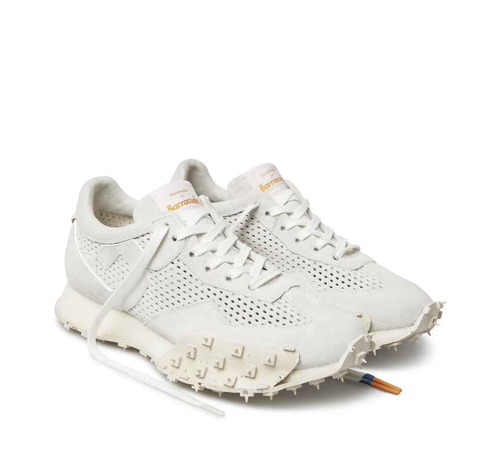 BARRACUDA- | Atelier Fratelli Carbè