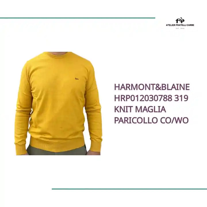 Harmont&Blaine HRP012030788 319 KNIT MAGLIA PARICOLLO CO/WO by@Outfy