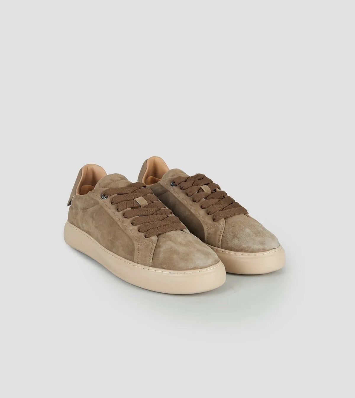 ALEXANDER SMITH ASBESOM 3669 TAU SNEAKER SOHO MAN TAUPE by ALEXANDER SMITH