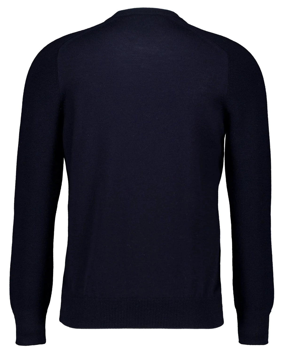 Maglione uomo blu navy a maniche lunghe, vista posteriore, moda elegante