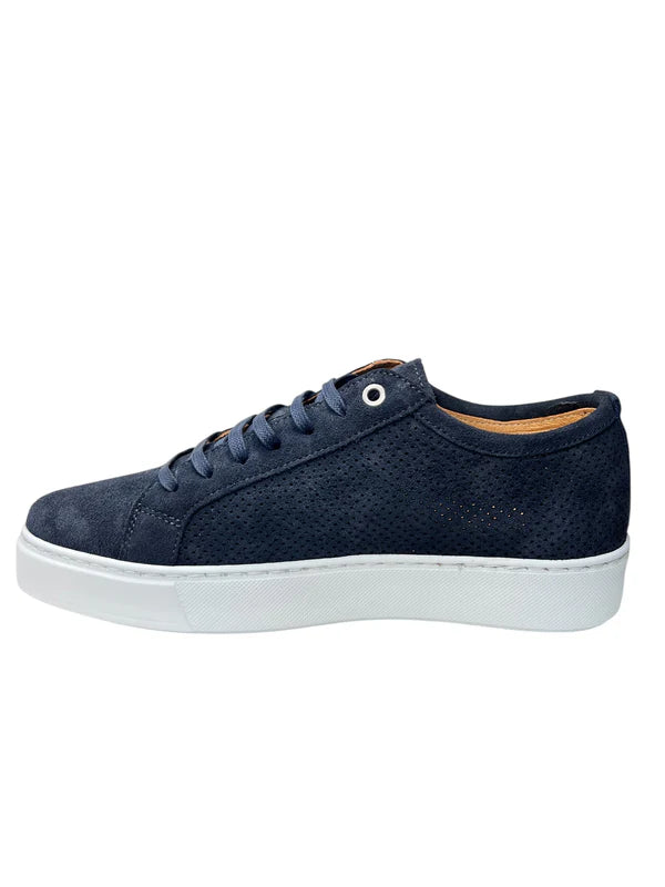 Baskets EXTON 565 bleues en daim perforé