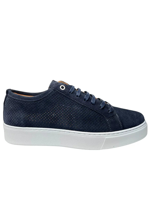 EXTON 565 BLUE  SNEAKER Sneaker Suede Forato