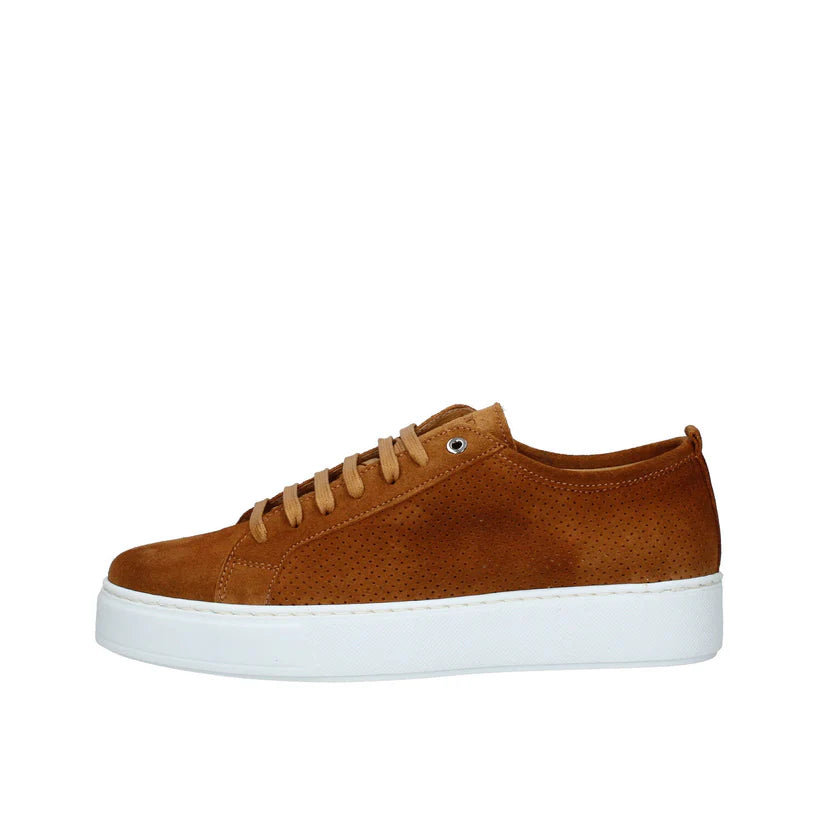 EXTON 565 BRUCIATO  SNEAKER Sneaker Suede Forato