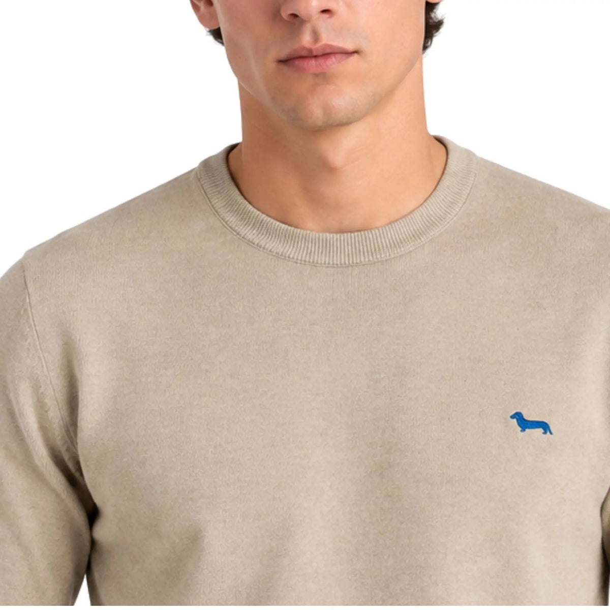 Harmont & Blaine Maglia Girocollo Sahara HRR249030744 - Retro