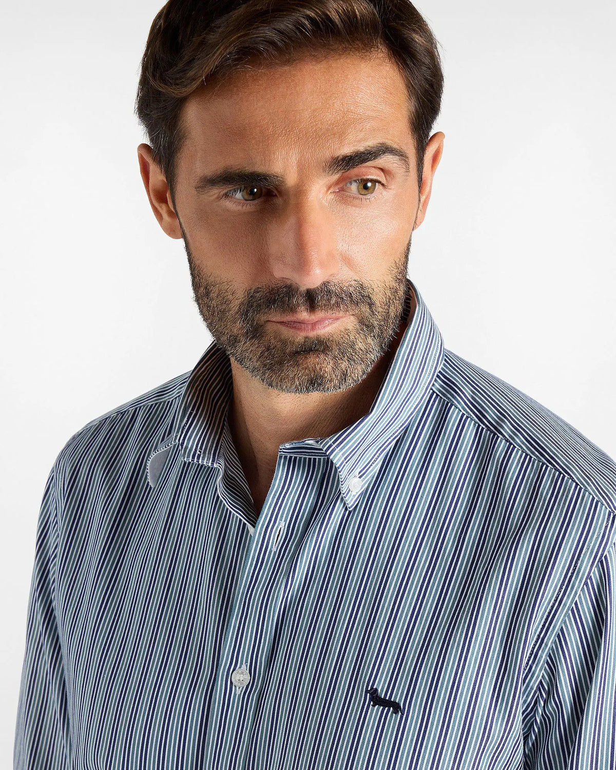 Camicia Harmont & Blaine regular fit in cotone twill rigato verde bottiglia - Dettaglio colletto e bassotto ricamato