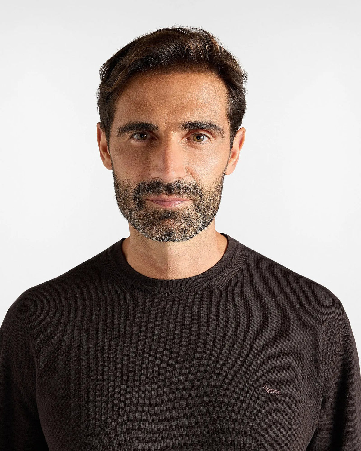 Maglione Paricollo Merino Harmont & Blaine Bacca - Retro