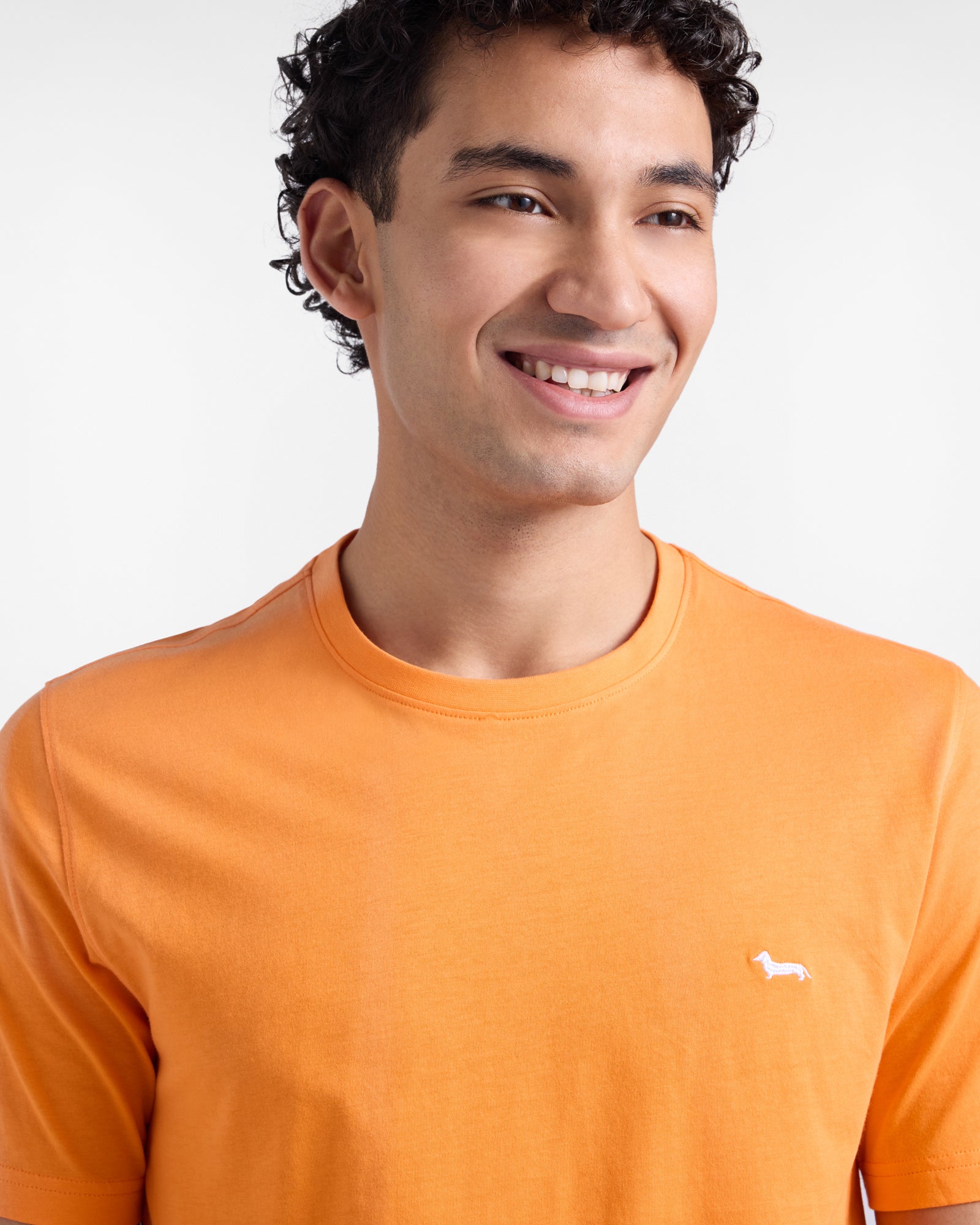 T-shirt basic Harmont&Blaine INQ001021055_402, tessuto morbido, colore neutro, stile semplice e versatile, vista frontale