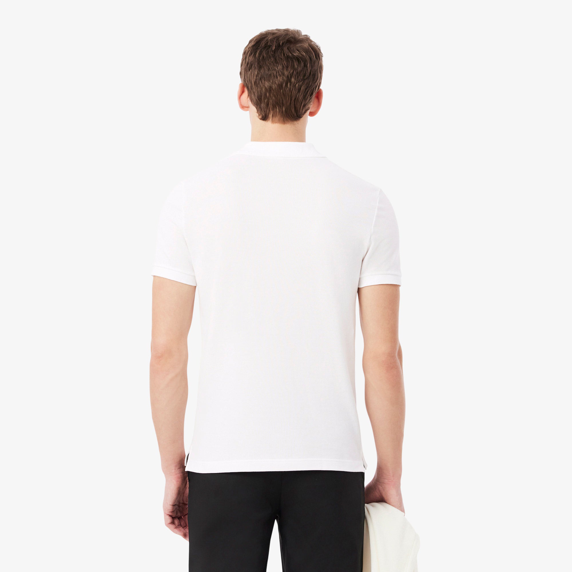 LACOSTE- | Atelier Fratelli Carbè