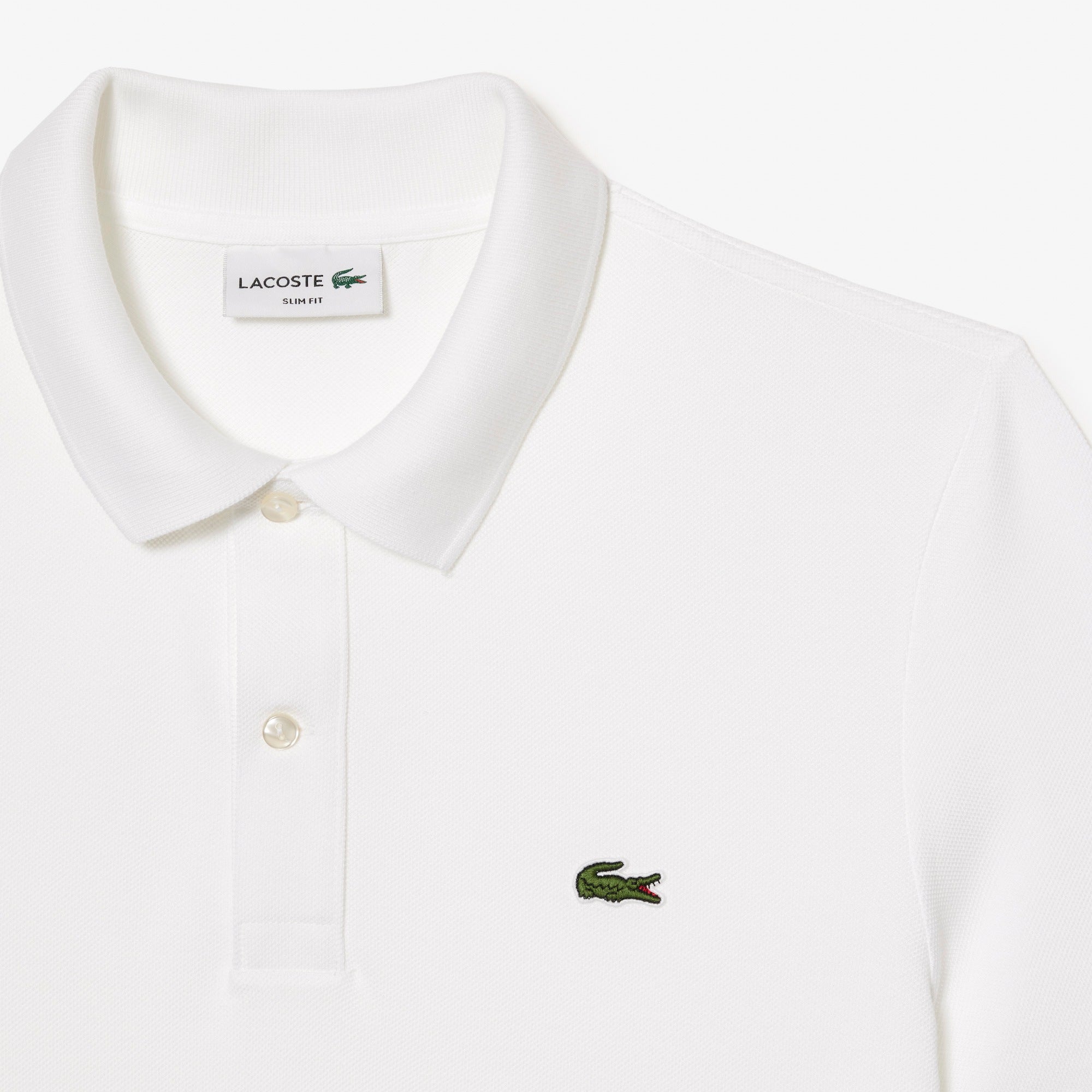LACOSTE- | Atelier Fratelli Carbè