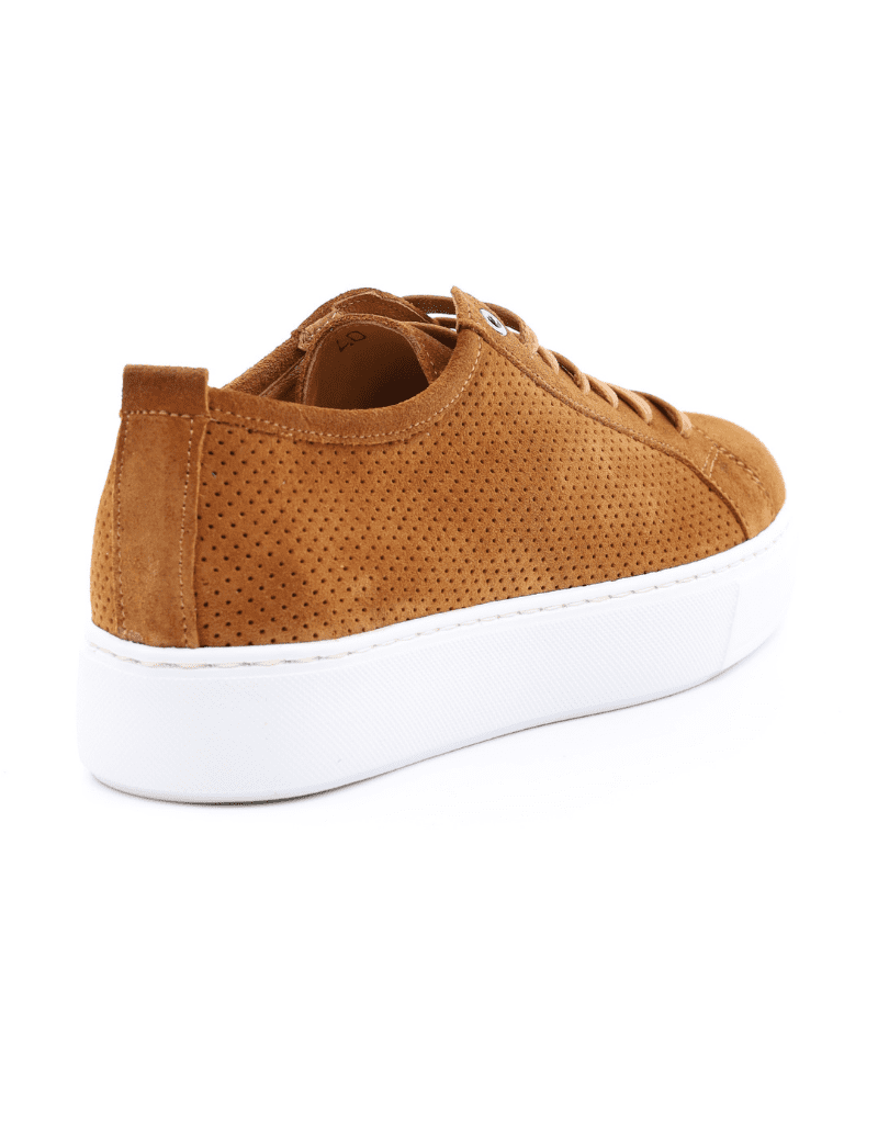 EXTON 565 BRUCIATO  SNEAKER Sneaker Suede Forato